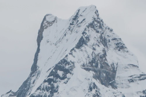 Mardi Himal Trek Guide 2026