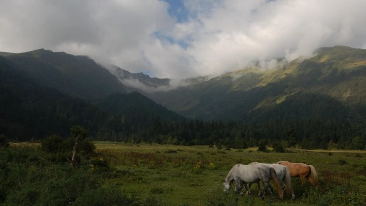 Dhorpatan-Nepal