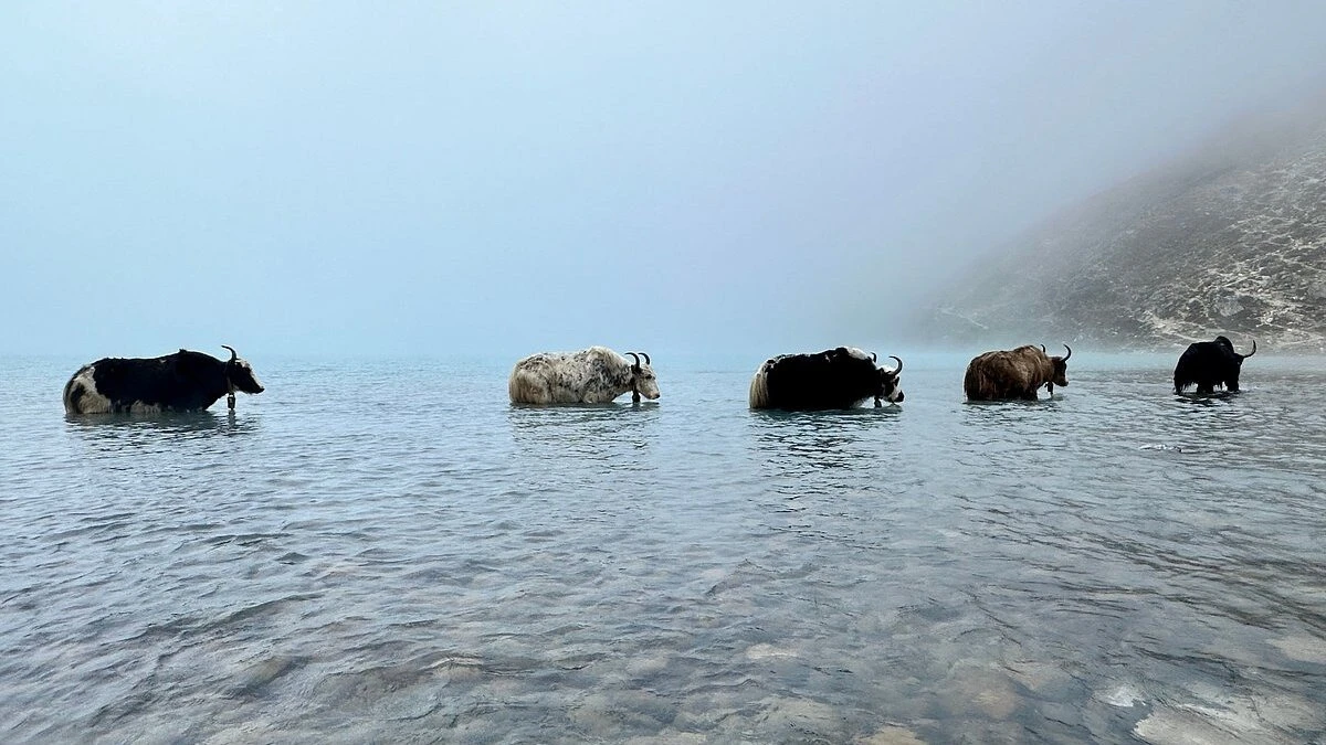everest-three-high-passes-trek-map