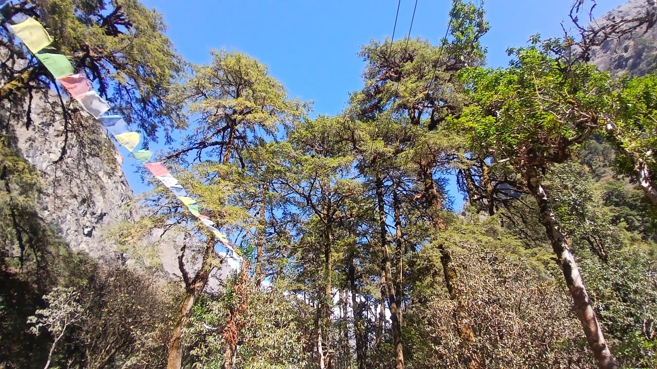 Best Month for Trekking Langtang Valley