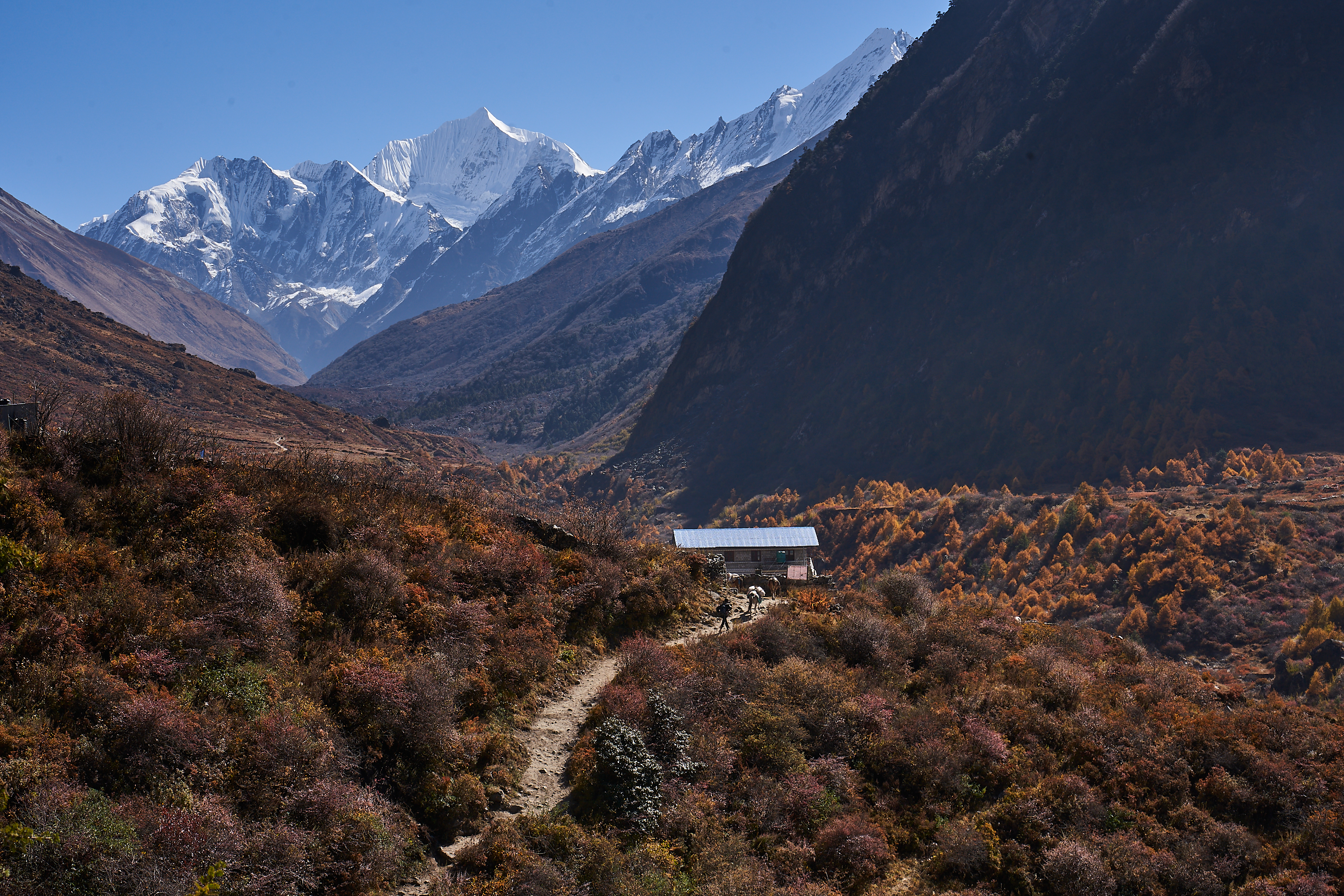 Best Season to Climb Yala Peak