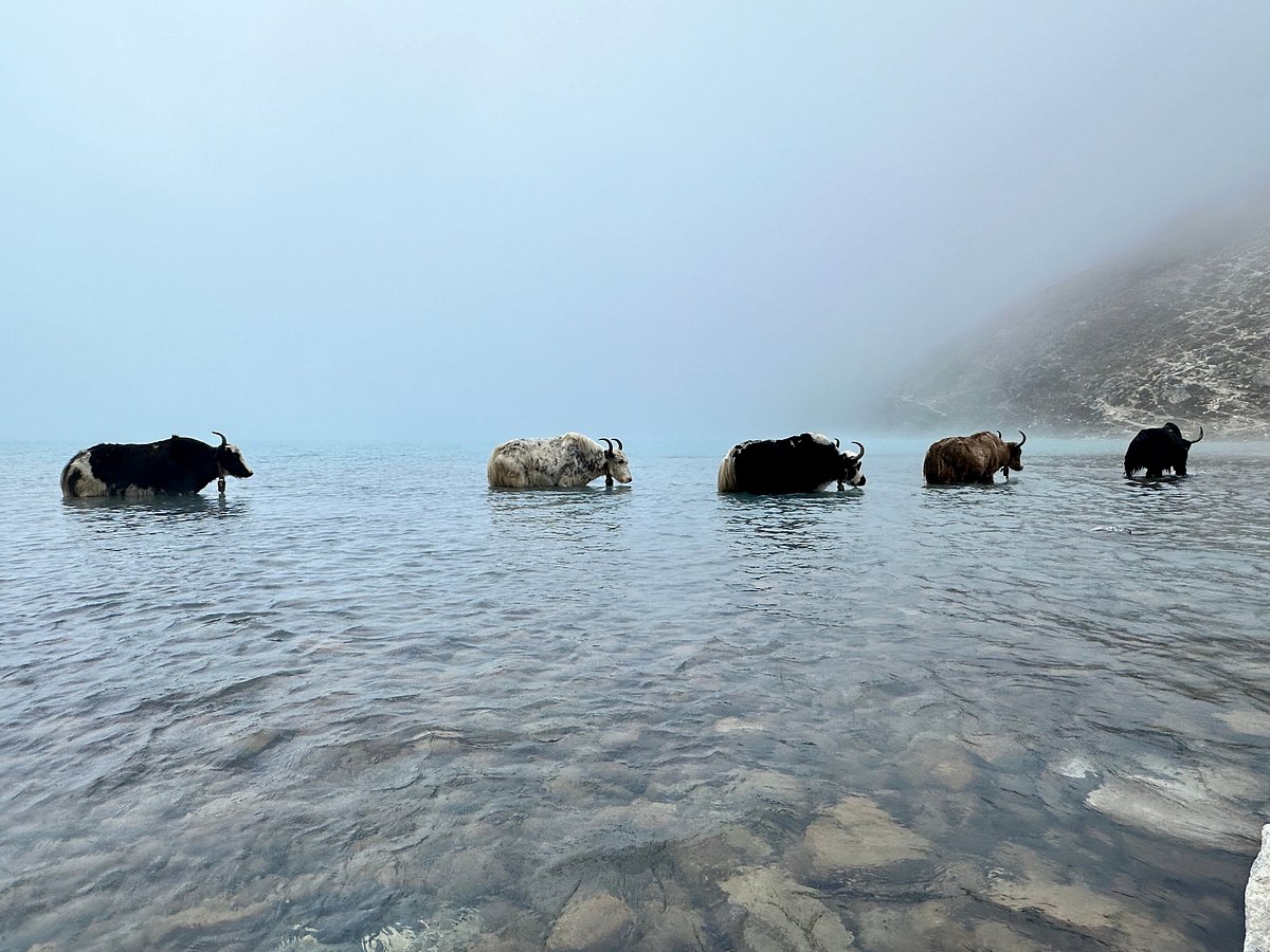 Everest-Three-High-Passes-Trek-with-Gokyo-Lake