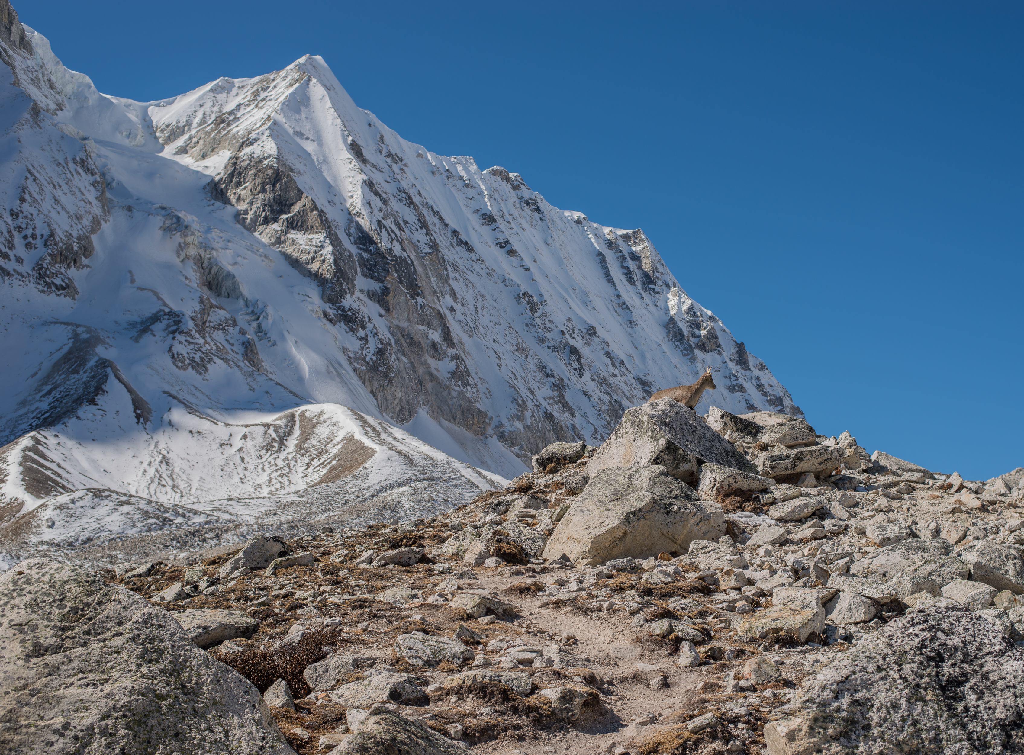 Larke-pass-Manaslu-Trek