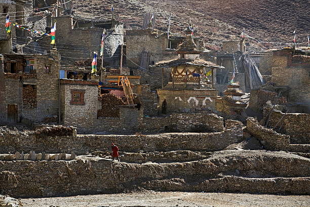 nar phu valley trek 2026