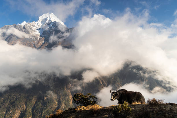 everest-base-camp-trekking-2026