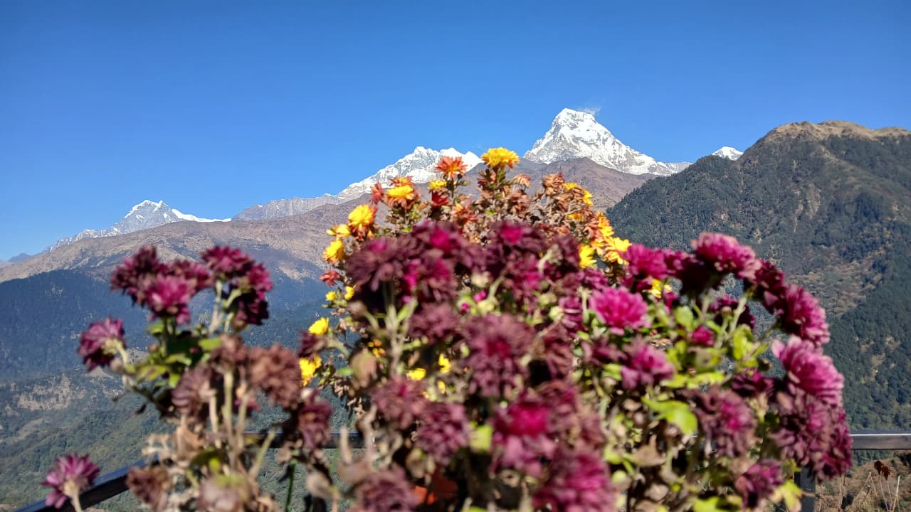 ghorepani-poonhill-trek-pokhara
