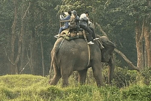 3-days-chitwan-jungle-safari-tour-package