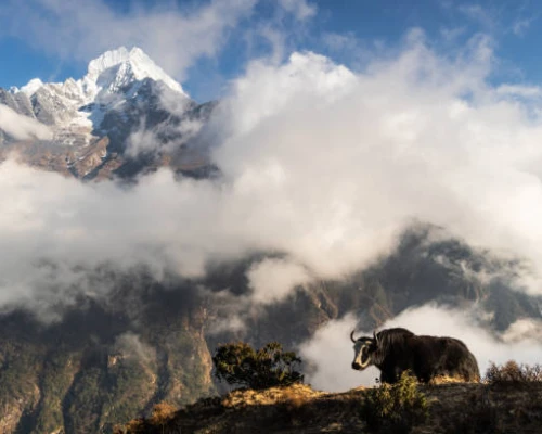 Everest Base Camp Trekking 