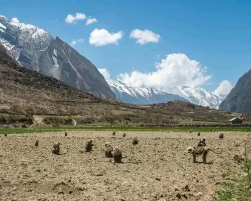Manaslu Full Circle Trek