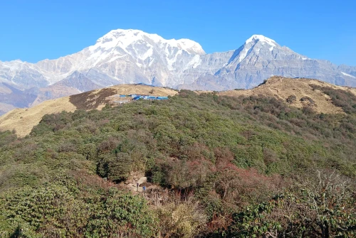 Khopra Danda Trek - 11 Days
