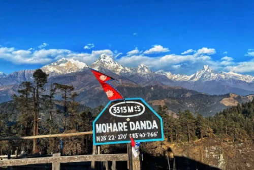 Mohare-danda-trek